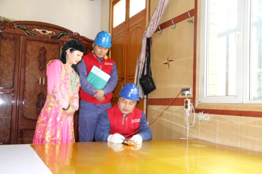 “十四五”国家电网发展成效①:转型发展向新向绿